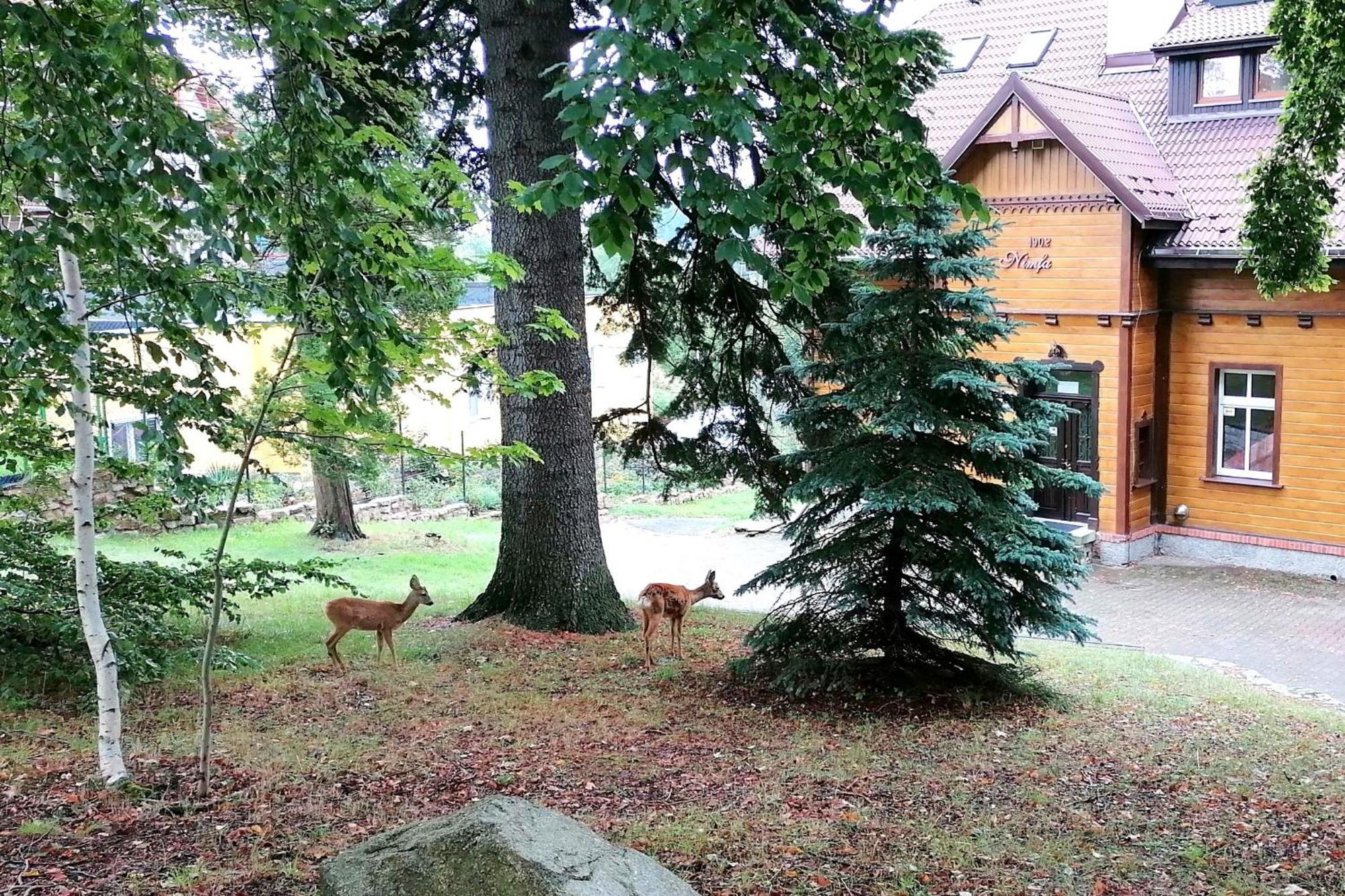 Willa Nimfa Szklarska Poręba Esterno foto