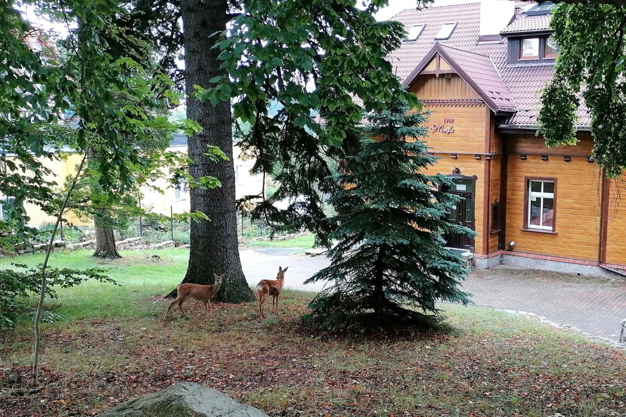 Willa Nimfa Szklarska Poręba Esterno foto